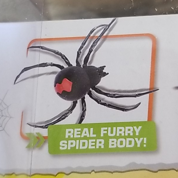 Robotic spider - Picture 5 of 7